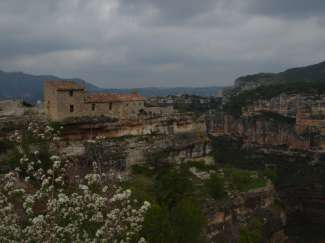 DSC08277.JPG